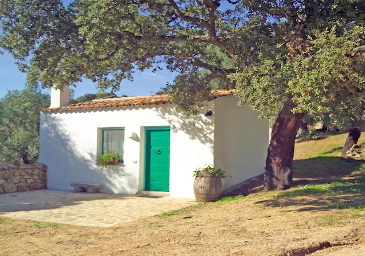 Sa Crescia Ezza Villa Berchiddeddu Italië